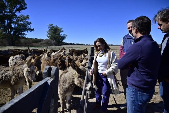 MYRIAM PRUNOTTO SE INTERIORIZÓ SOBRE LAS POTENCIALIDADES DE LA PRODUCCIÓN DE LECHE DE BURRA.