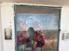 ROBARON UNA VIRGENCITA DE UNA GRUTA EN ROSARIO DEL SALADILLO.
