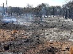 CONFIRMARON LA ACUSACIÓN AL IMPUTADO POR INCENDIOS EN CALAMUCHITA.