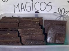 VENDÍA “BROWNIES MÁGICOS” EN EL PASEO DE LAS ARTES Y QUEDÓ DETENIDO.