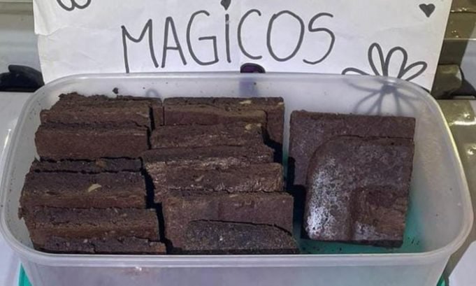 VENDÍA “BROWNIES MÁGICOS” EN EL PASEO DE LAS ARTES Y QUEDÓ DETENIDO.