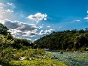 SAN MARCOS SIERRAS SE PREPARA PARA EL 1° ENCUENTRO DE TAROT Y OTRAS MANCIAS.