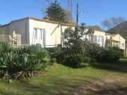 SE VIENE EL SUNSET SAUCE PUNCO.