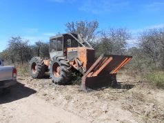 POLICÍA AMBIENTAL FRENÓ UN DESMONTE EN SEBASTIÁN ELCANO.