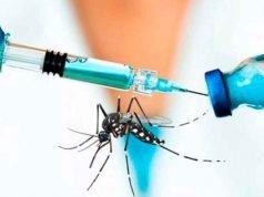 LA PROVINCIA LANZA UN PLAN DE VACUNACIÓN CONTRA EL DENGUE CON 75.000 DOSIS DISPONIBLES.