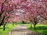 La primavera comienza oficialmente hoy lunes a la siesta.