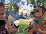 Deán Funes: Jornada de vacunación antirrabica en Barrio Villa Moyano.