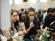 Se llevó a cabo la primera feria de vinos de Córdoba.