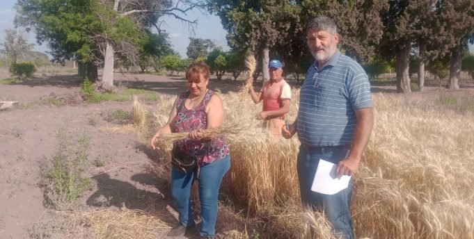 Quilino: Entregan parcelas de trigo a los artesanos de la localidad.