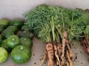 Excelente noticia: Refuncionalizan el vivero municipal de Deán Funes.