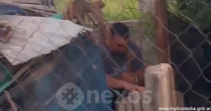 Laboulaye: dos detenidos por actos de crueldad contra un perro.