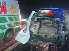Camioneta chocó contra dos búfalos en la autovía de Punilla.