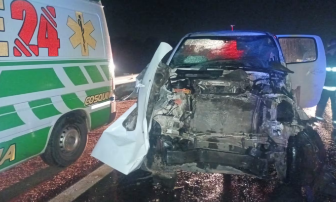 Camioneta chocó contra dos búfalos en la autovía de Punilla.
