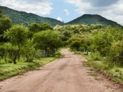 Festival de la Jota Cordobesa en San Lorenzo.