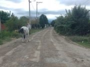 Realizaron procedimientos de control y secuestro en Deán Funes y Quilino.