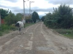 Realizaron procedimientos de control y secuestro en Deán Funes y Quilino.