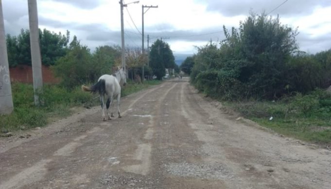 Realizaron procedimientos de control y secuestro en Deán Funes y Quilino.
