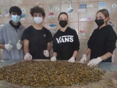 La Carlota: estudiantes transforman colillas de cigarrillos en agendas y logran reconocimiento internacional.