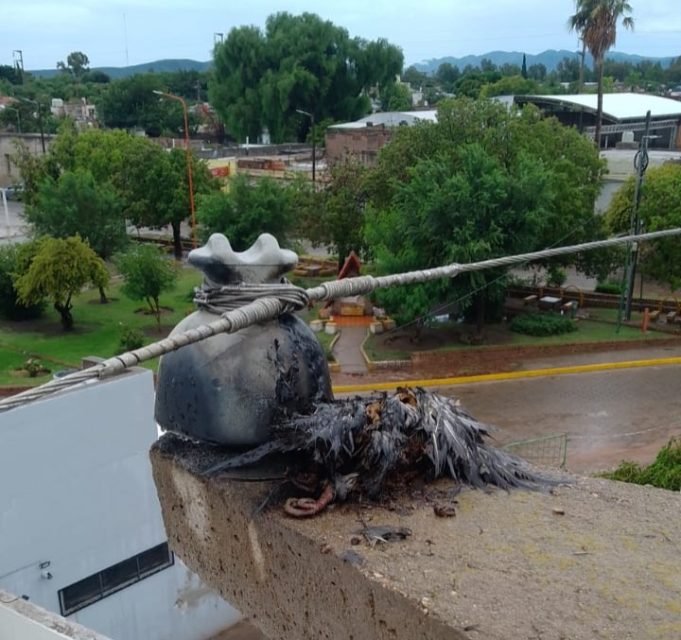 Deán Funes: un ave impactó contra un transformador eléctrico y provocó un corte de energía.