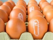 Consejos para evitar la Salmonella.