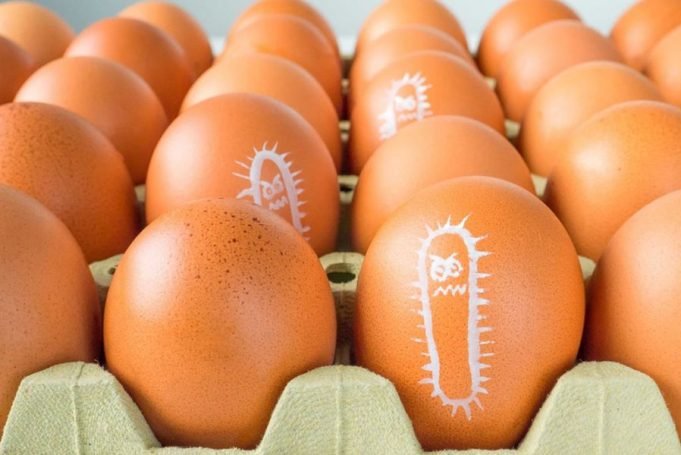 Consejos para evitar la Salmonella.
