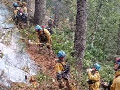 Córdoba suma un avión hidrante para combatir los incendios en el Sur.
