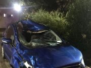 Trágico accidente en Ruta9: falleció una una mujer al chocar con un caballo suelto.