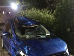 Trágico accidente en Ruta9: falleció una una mujer al chocar con un caballo suelto.