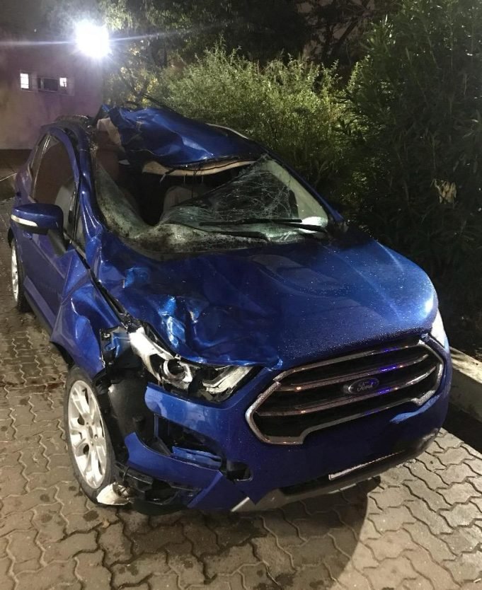 Trágico accidente en Ruta9: falleció una una mujer al chocar con un caballo suelto.