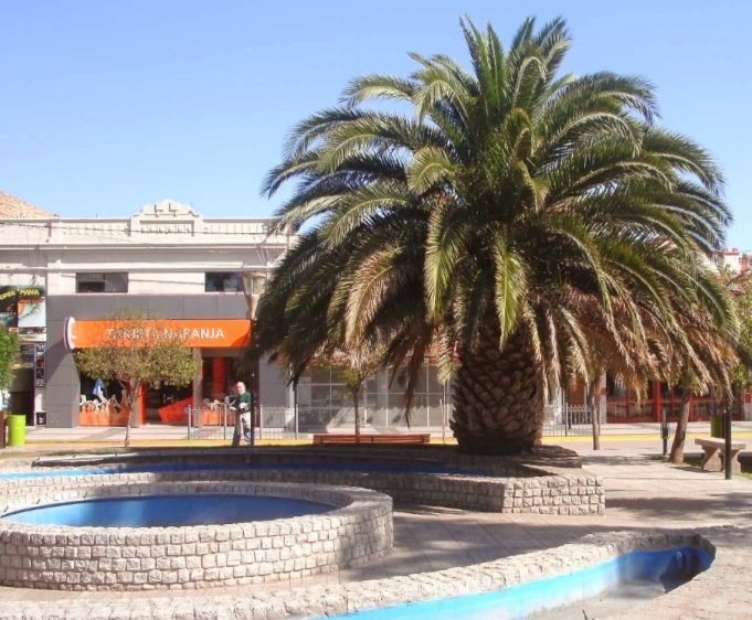 Semana cálida y sin lluvias: el domingo podría alcanzar los 36°C.
