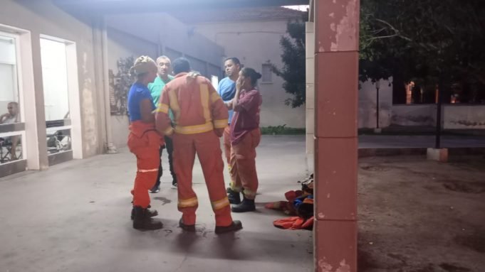 Bomberos de Deán Funes fueron atacados por abejas durante un rescate animal.