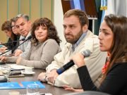 Consumo de drogas y prevención: legisladores recibieron a funcionarios de Salud para profundizar en la temática.