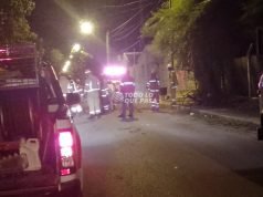 Fuertes vientos: Se registraron caídas de árboles en Deán Funes.