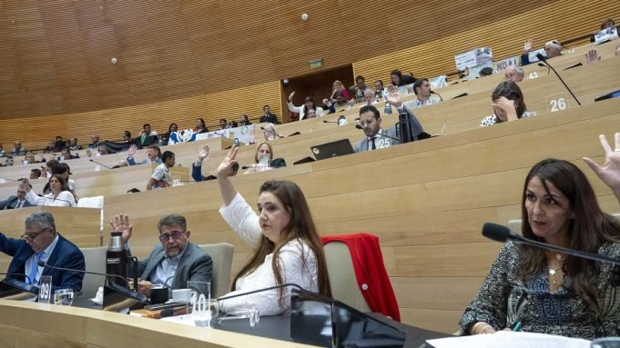 La provincia tendrá un Registro de Ligas Deportivas Amateurs y No Federadas.