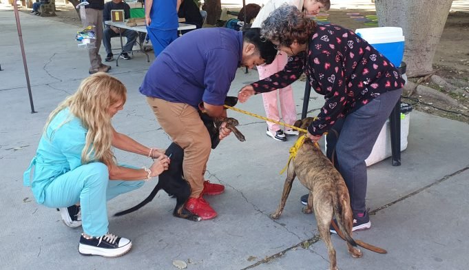Día del Animal en la Plaza Sarmiento: una jornada para compartir y aprender.