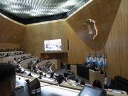Myrian Prunotto presidió el Primer Parlamento de la Diversidad.
