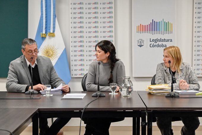 Aprueban la modificación del radio municipal y comunal de Cruz Alta y San Ignacio.