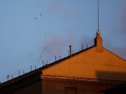 2° Día de Cónclave para elegir al nuevo Papa. Hoy habrá dos fumatas.