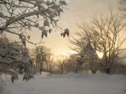 El viernes 20 de Junio a las 23:42 comienza oficialmente el invierno.