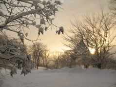 El viernes 20 de Junio a las 23:42 comienza oficialmente el invierno.