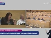 SEGUÍ LA 10ª SESIÓN ORDINARIA – 147º PERIODO LEGISLATIVO – 11 DE JUNIO DE 2025.