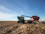 La vicegobernadora Prunotto celebró mediante X la reducción de retenciones.