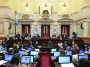 El Senado convirtió en ley el proyecto que declara la emergencia en discapacidad.