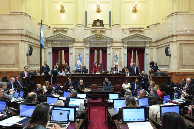 El Senado convirtió en ley el proyecto que declara la emergencia en discapacidad.