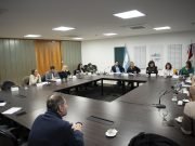 Acuerdo en comisión para actualizar el Colegio de Profesionales en Servicio Social provincial.