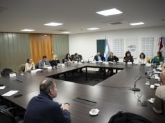 Acuerdo en comisión para actualizar el Colegio de Profesionales en Servicio Social provincial.