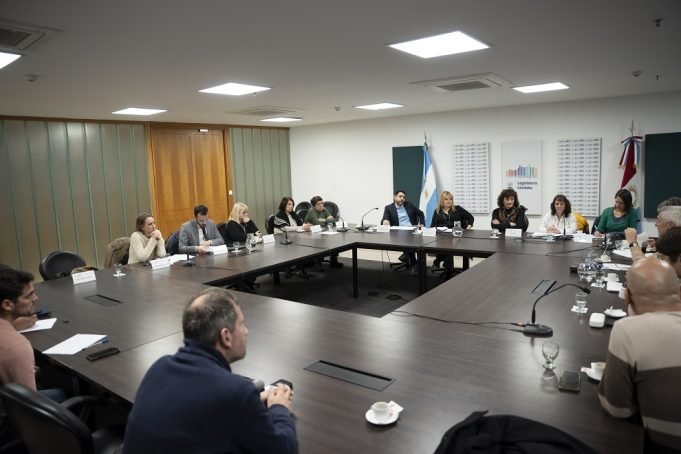 Acuerdo en comisión para actualizar el Colegio de Profesionales en Servicio Social provincial.