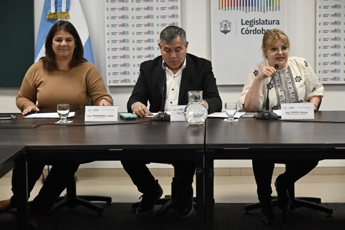 Legisladores proponen crear el Colegio de Enfermería en la provincia.