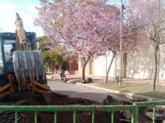 Corte de tránsito por 20 días en Moreno y Zanichelli por obras de reparación asfáltica.