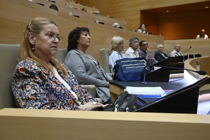 El Consejo Provincial de Personas Mayores se reunió en la Unicameral.
